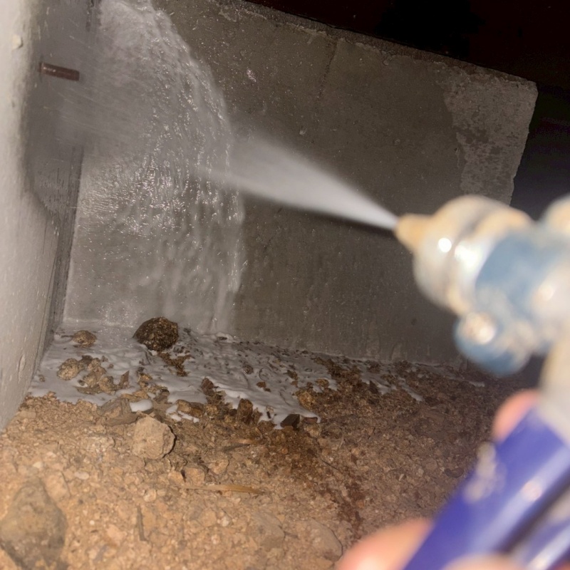 床下の基礎にシロアリ駆除剤を散布