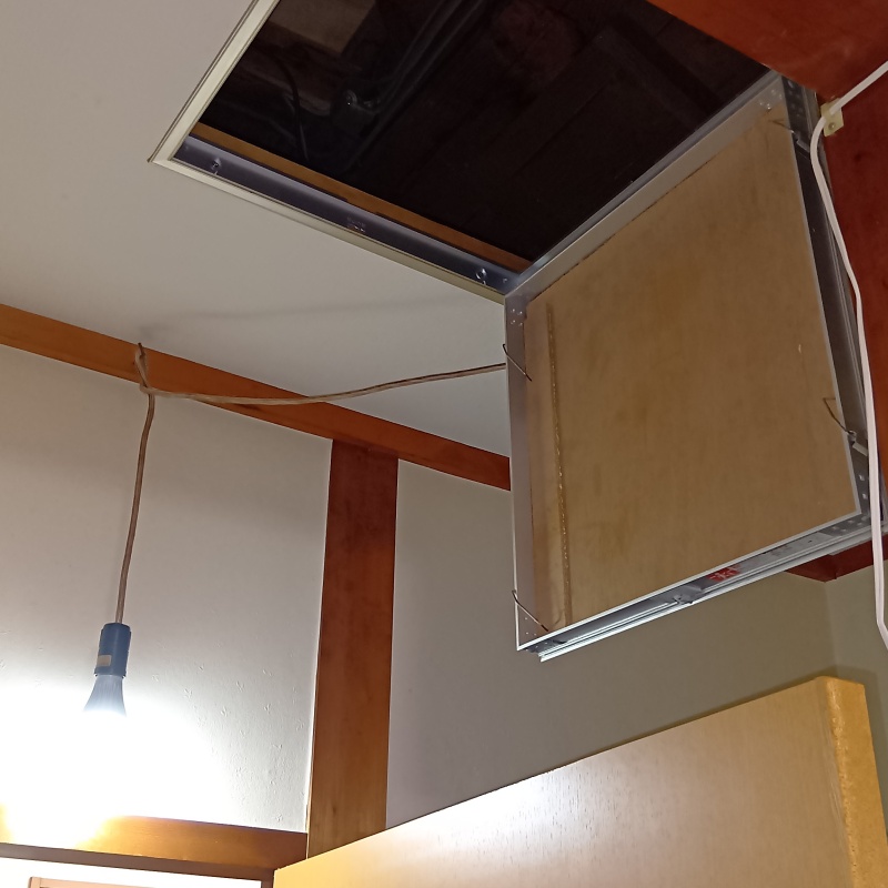 アライグマ駆除の施工事例（京都府城陽市）