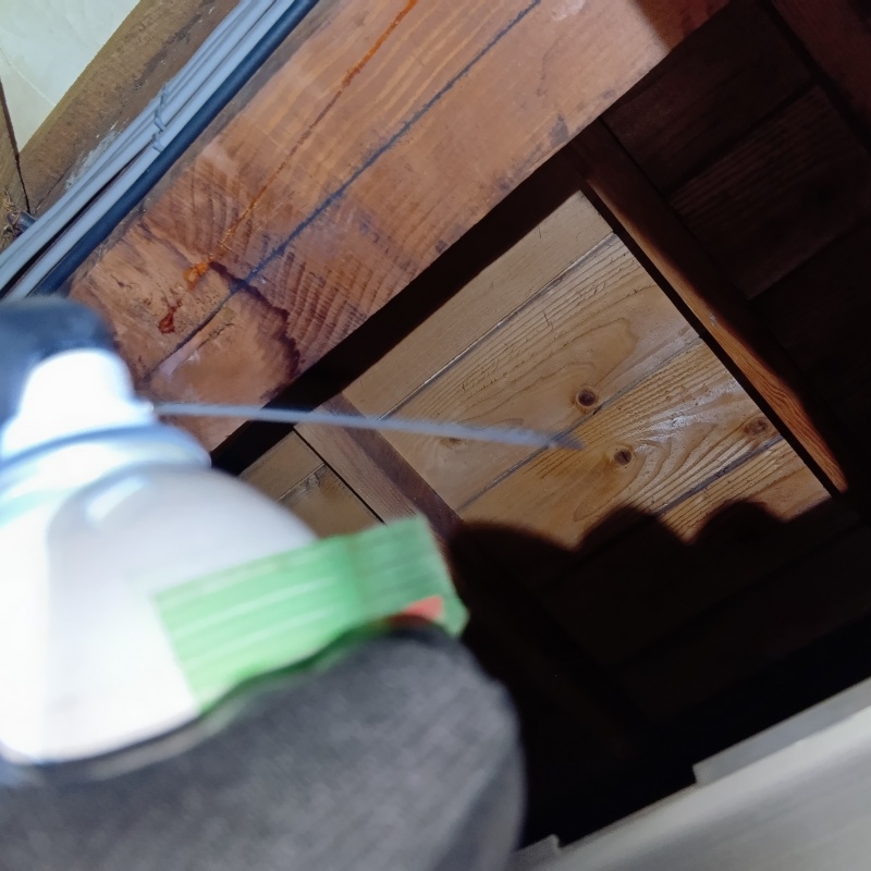 忌避剤を吹きつけている様子