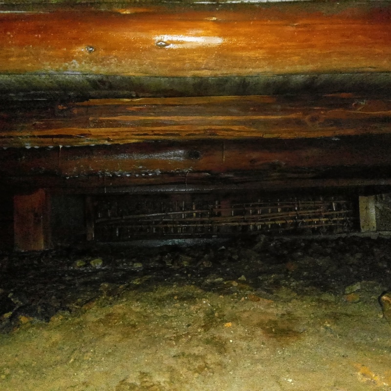 床下の木部処理が完了した様子