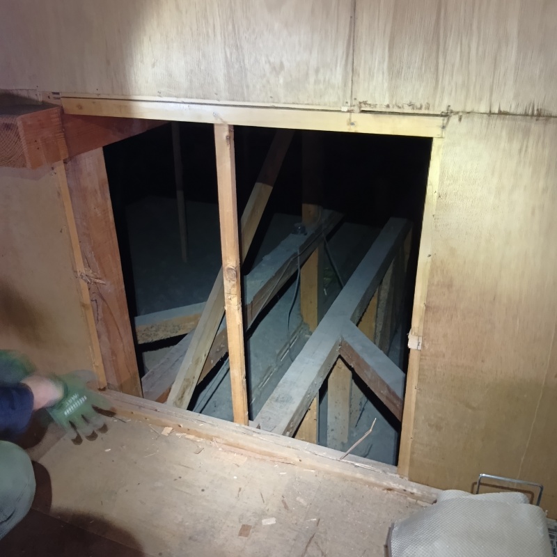 ハクビシン駆除の施工事例（宮城県大崎市古川大宮）