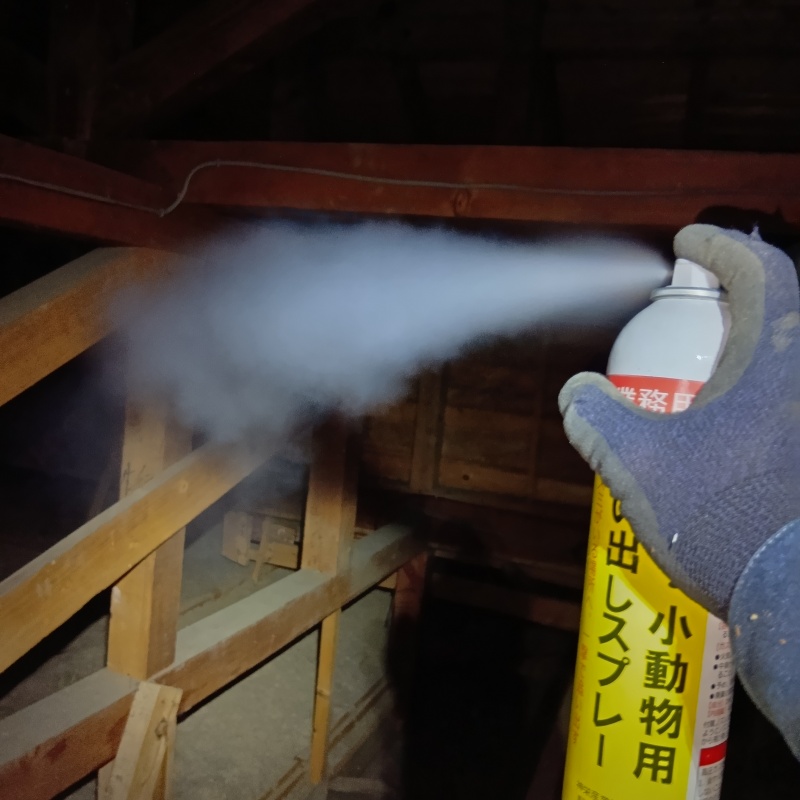 屋根裏に忌避剤を散布