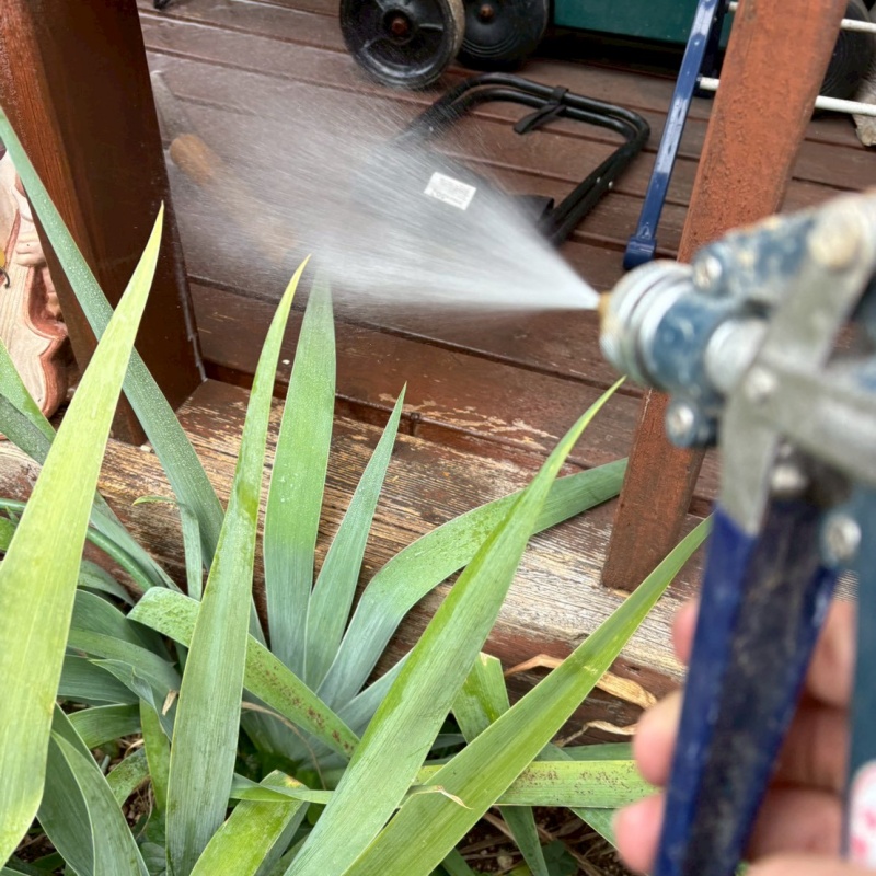 ウッドデッキにシロアリ駆除剤を散布