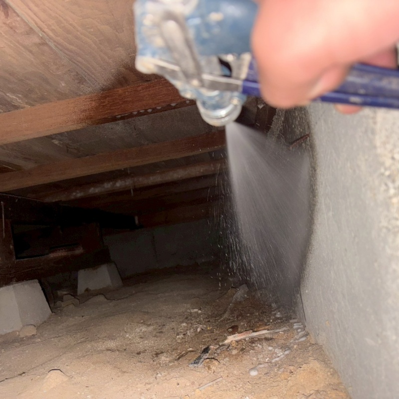 土台付近にシロアリ駆除剤を散布