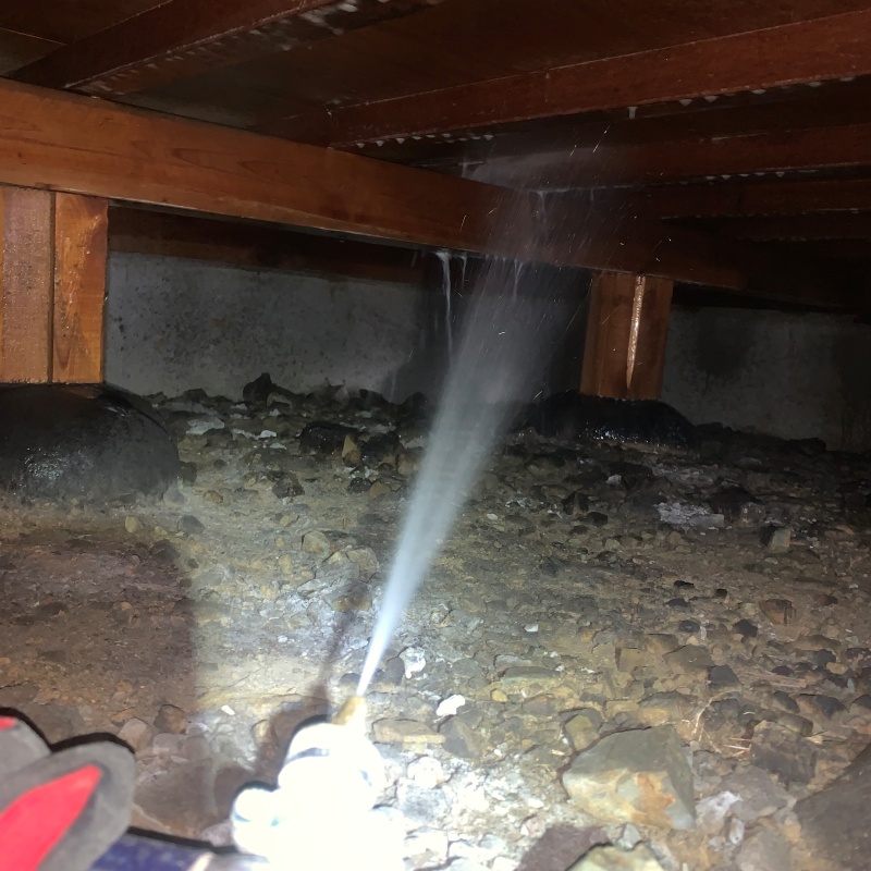 床下の木材にシロアリ駆除剤を散布