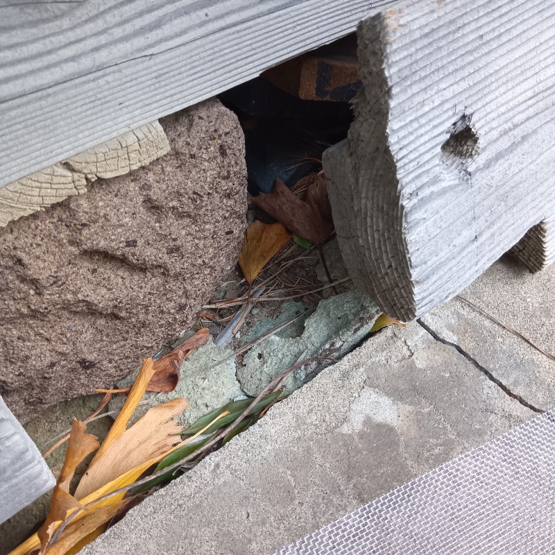 ハクビシン駆除の施工事例（新潟県見附市新潟町）