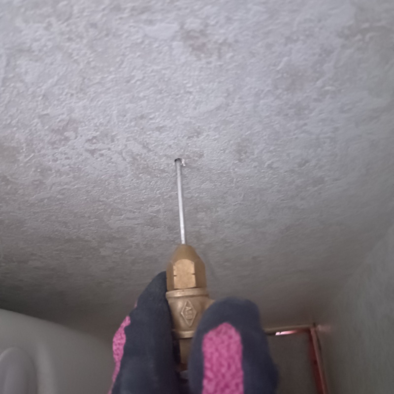 天井に穴を開けてシロアリ駆除剤を注入