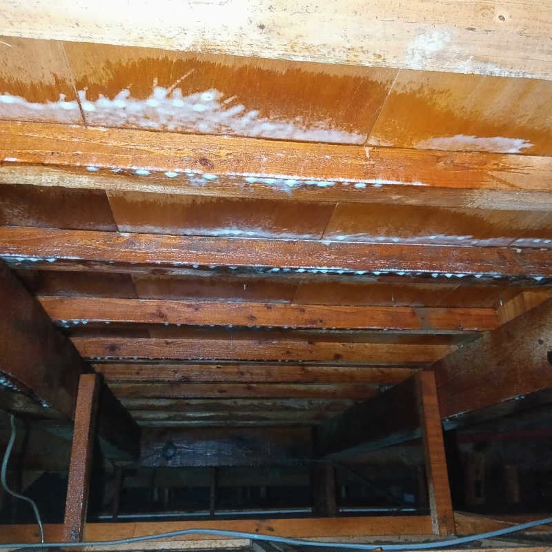 木部処理が完了した様子