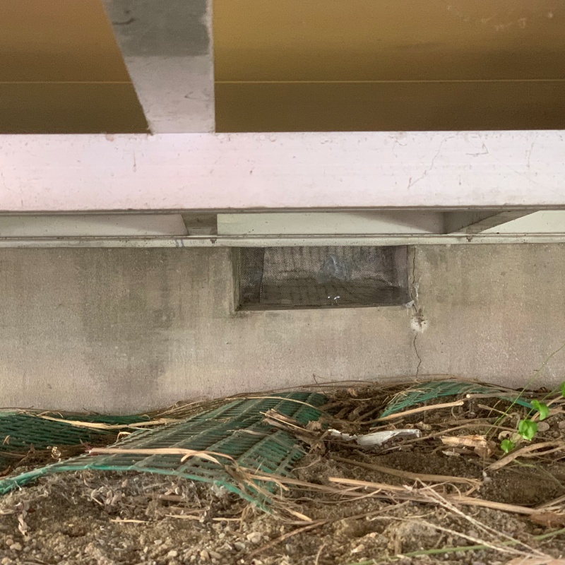 金網とパテで侵入経路を封鎖