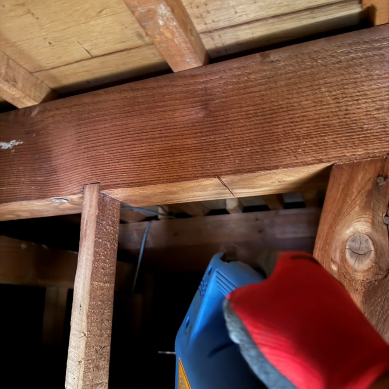 噴霧器で屋根裏を除菌・消臭