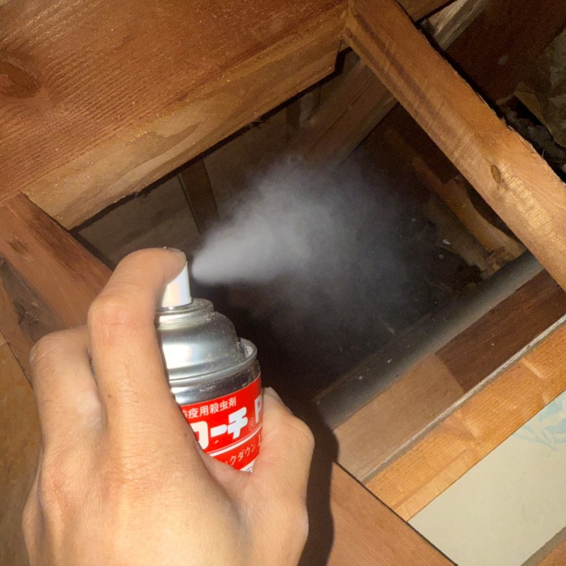 殺虫剤を屋根裏に散布