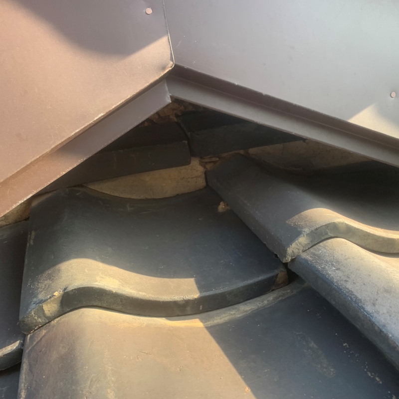 ハクビシン駆除の施工事例（愛知県半田市有楽町）