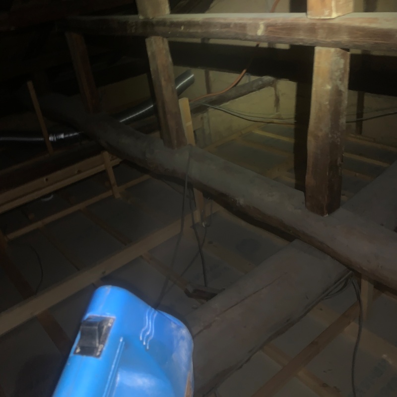 噴霧器で除菌剤・消臭剤を散布