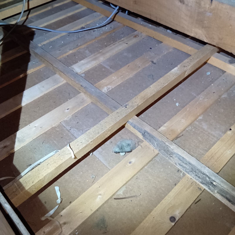 イタチ駆除の施工事例（大阪府東大阪市新池島町）