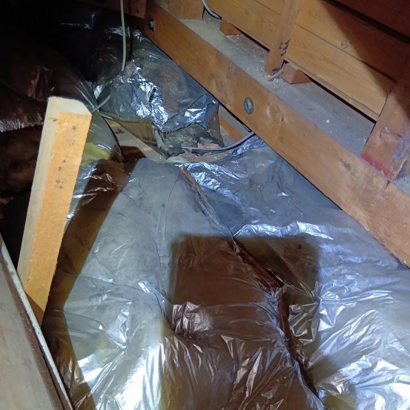 荒らされた断熱材