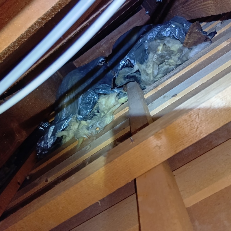 荒らされた断熱材