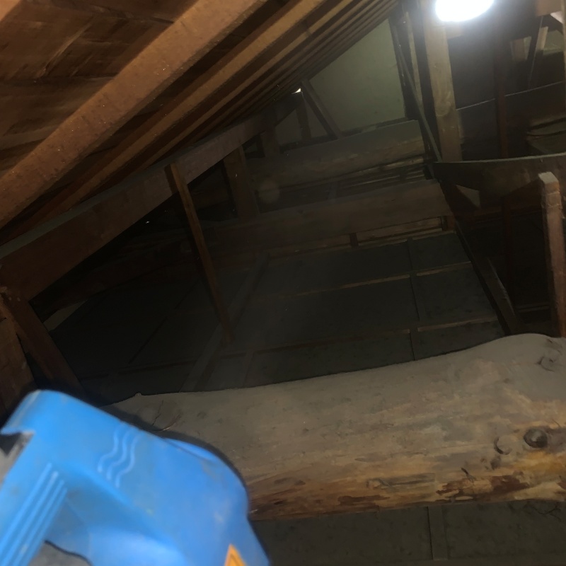 噴霧器で除菌剤を散布