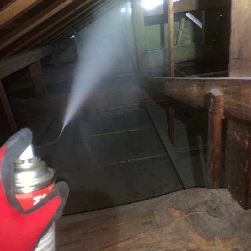 殺虫剤スプレーを散布