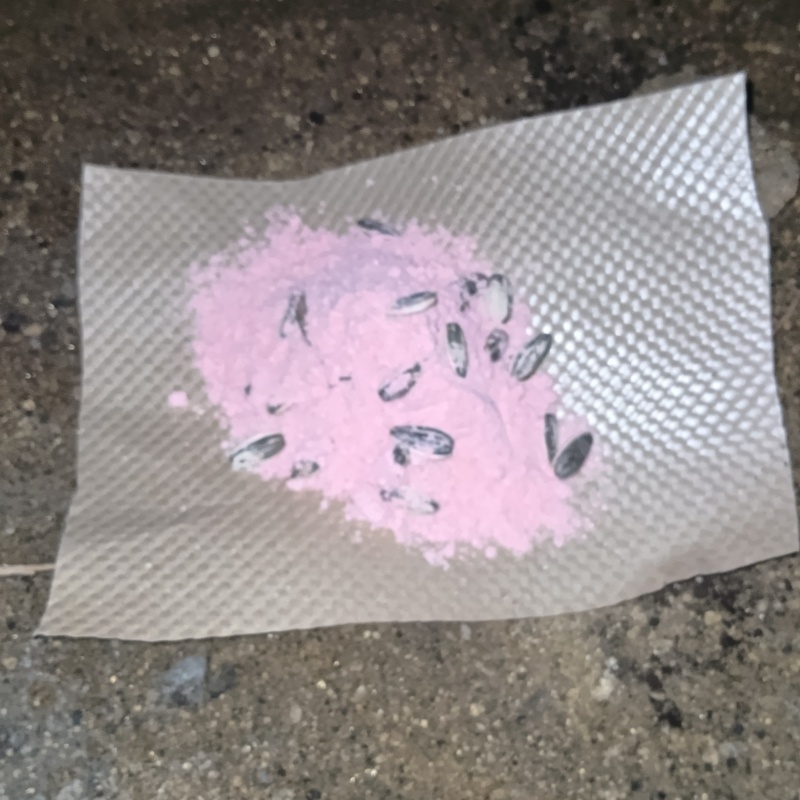 床下に殺鼠剤を設置