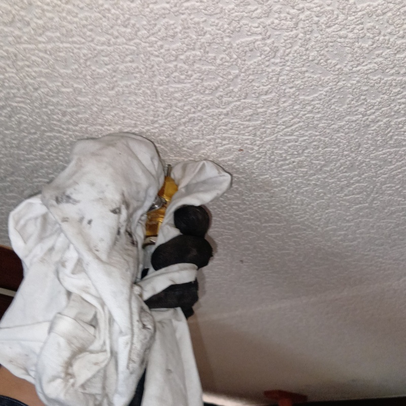 天井に開けた穴から殺虫剤を散布