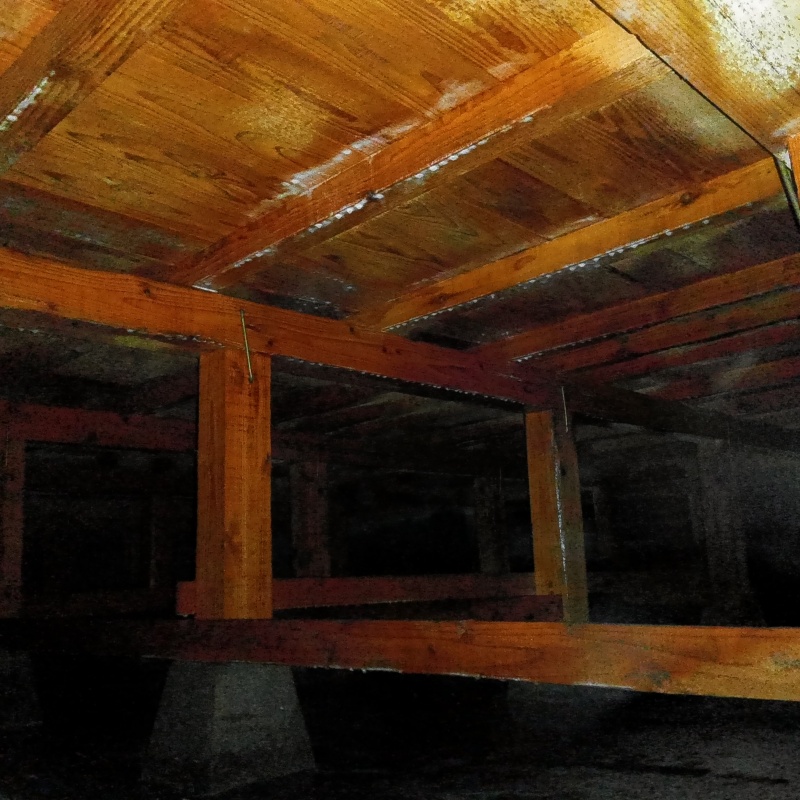 木部処理が完了した様子