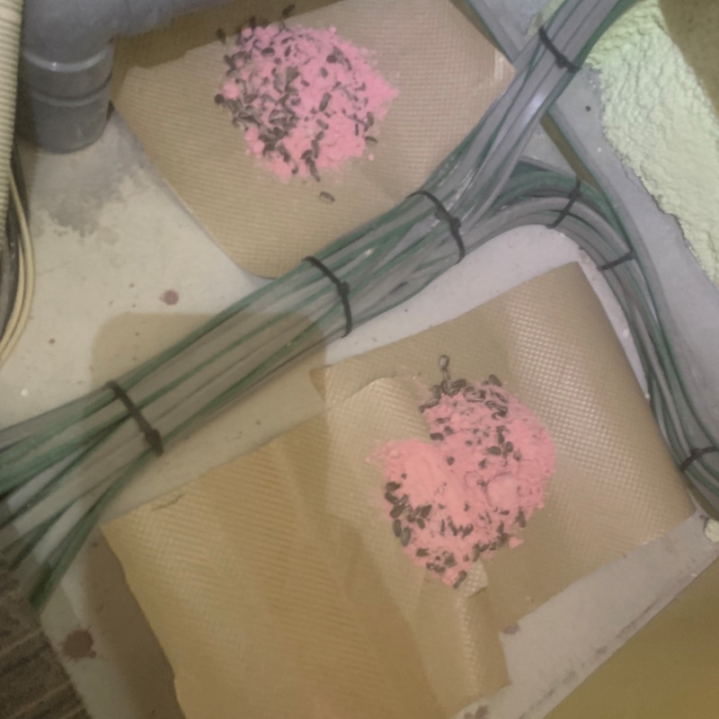 殺鼠剤を設置