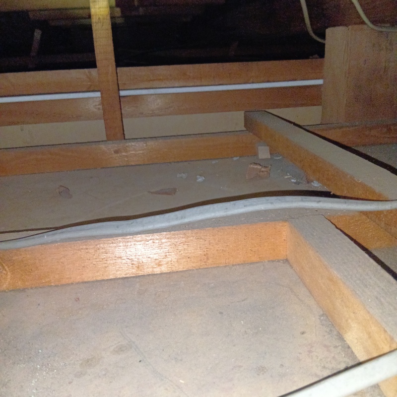 ネズミ駆除の施工事例（埼玉県狭山市北入曽）