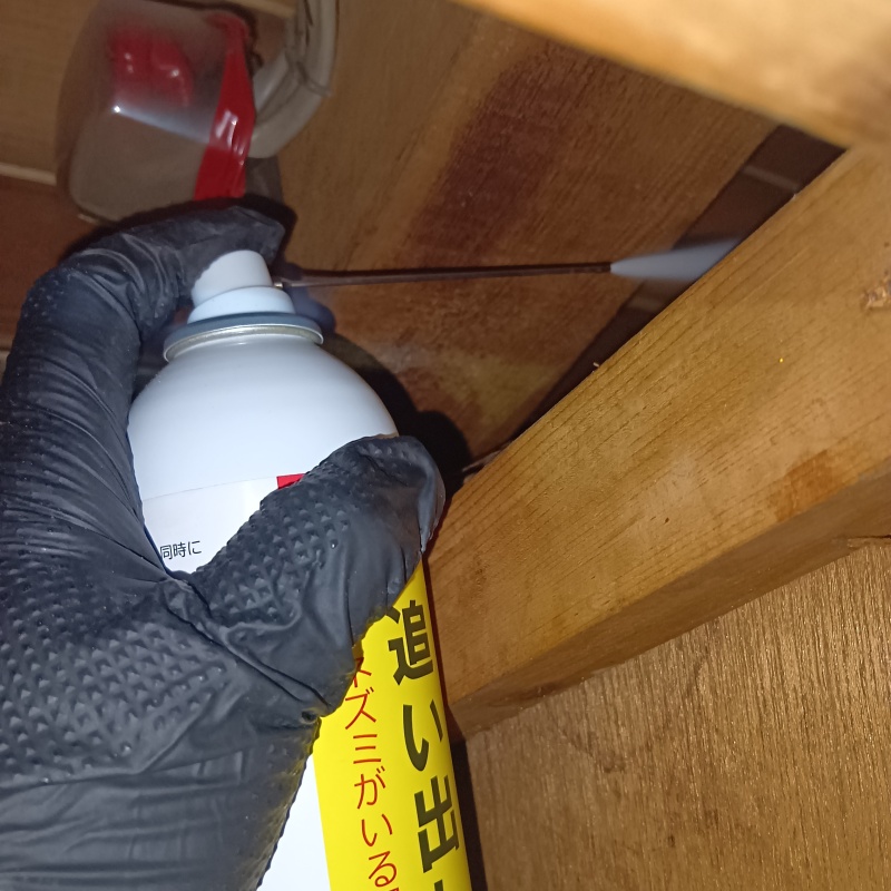 忌避スプレーを散布