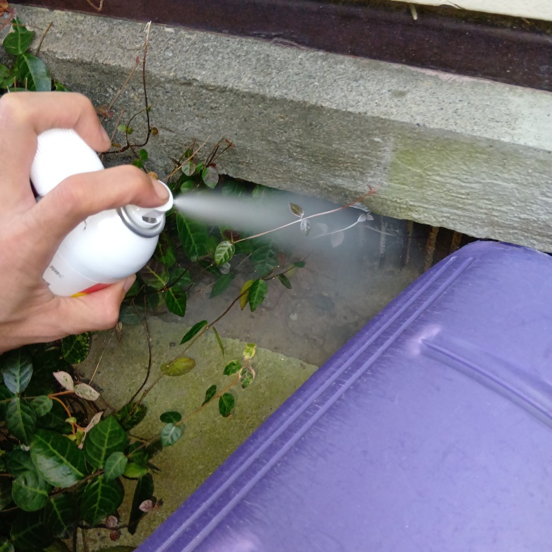 床下換気口付近に忌避スプレーを散布