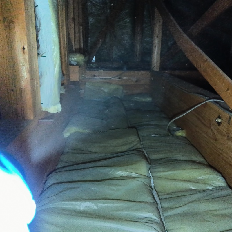 噴霧器で除菌・消臭剤を散布