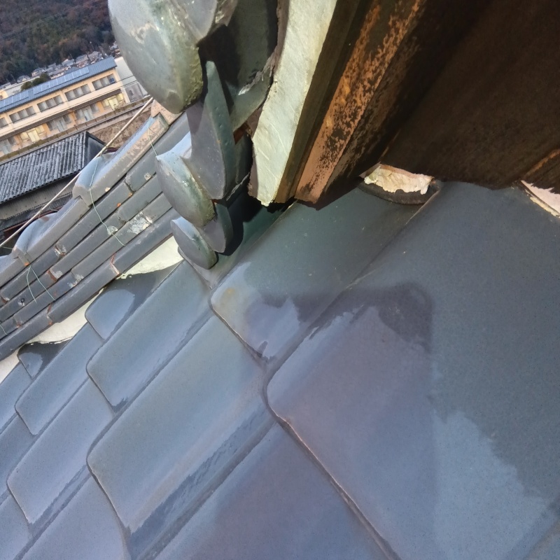 アライグマ駆除の施工事例（岐阜県各務原市鵜沼羽場町）