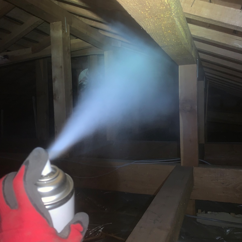 殺虫剤を吹きつけている様子