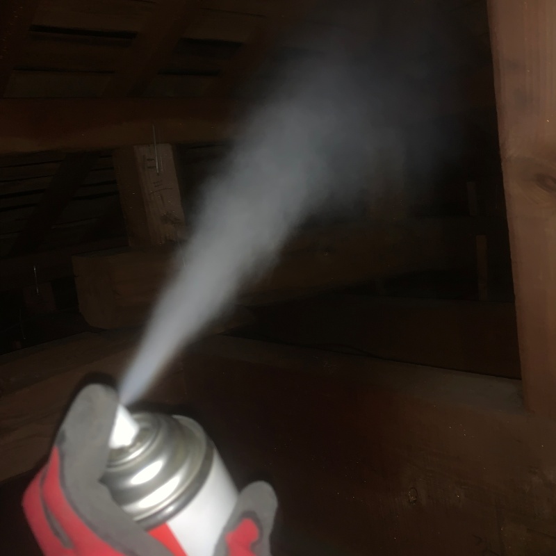 殺虫剤を吹きつけている様子