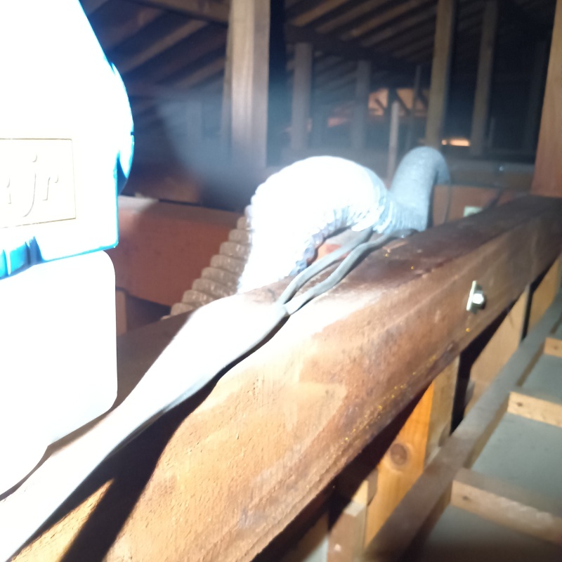 噴霧器で除菌・消臭剤を散布