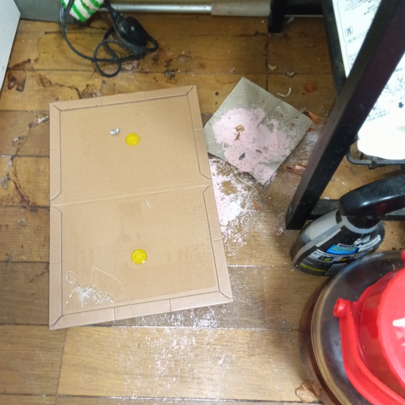 ネズミが殺鼠剤を食べたあと