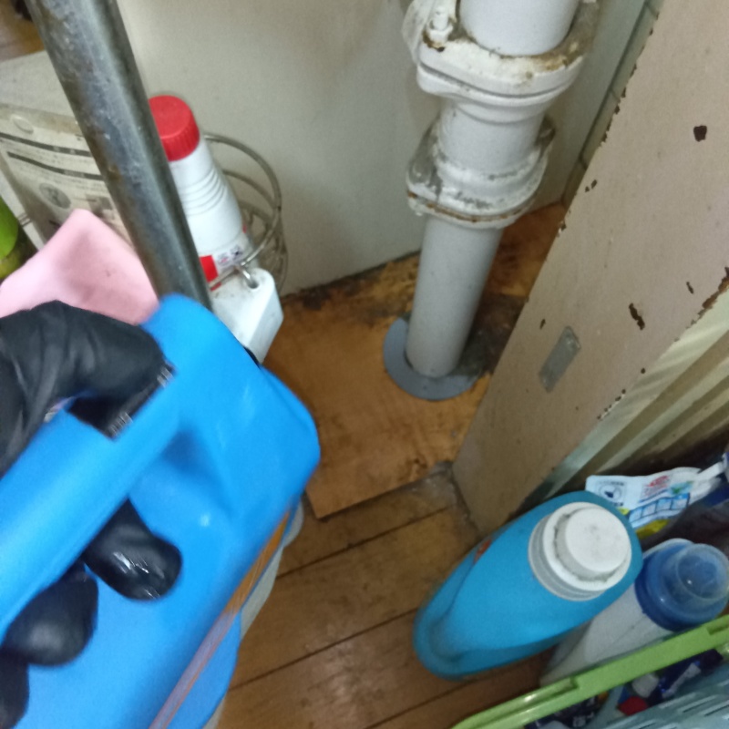 室内に噴霧器で除菌・消臭剤を散布