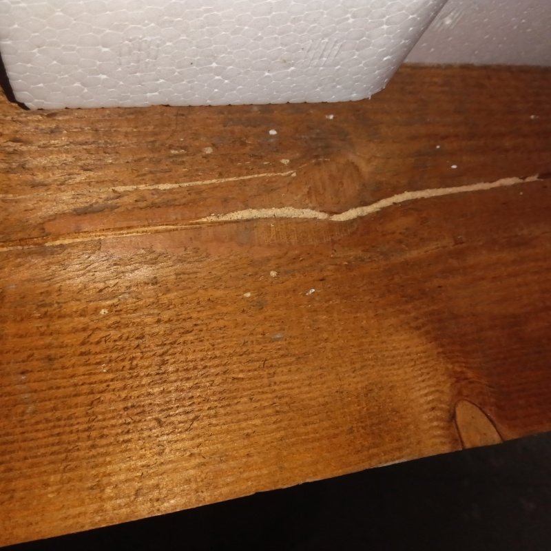 築年数30年のシロアリ駆除の施工事例（愛知県あま市新居屋江上田）