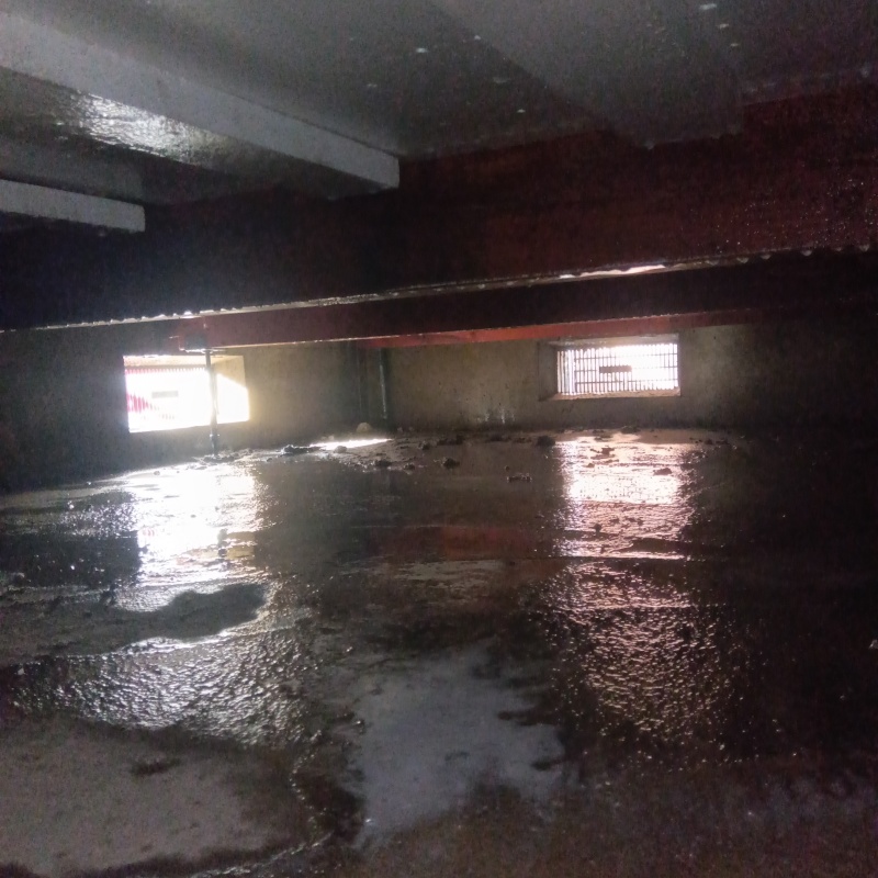 土壌処理が完了した様子