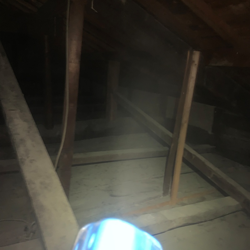 噴霧器で除菌剤・防臭剤を散布