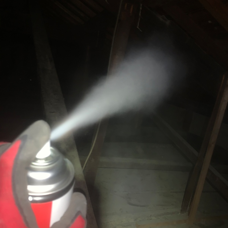 屋根裏に殺虫スプレーを散布