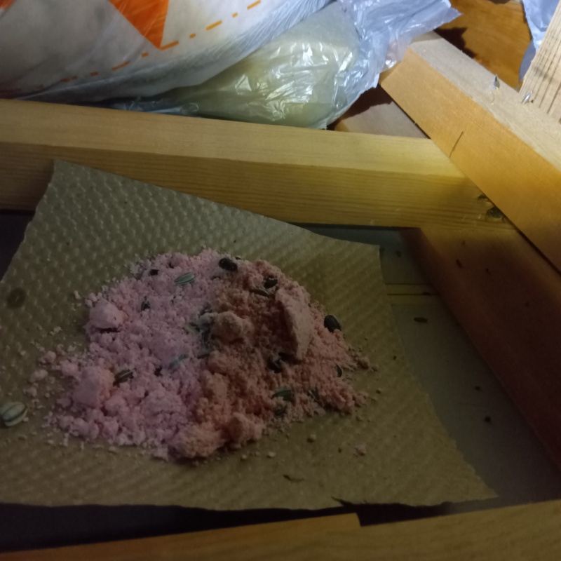 殺鼠剤を仕掛けている様子