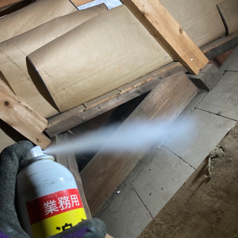 忌避スプレーを散布