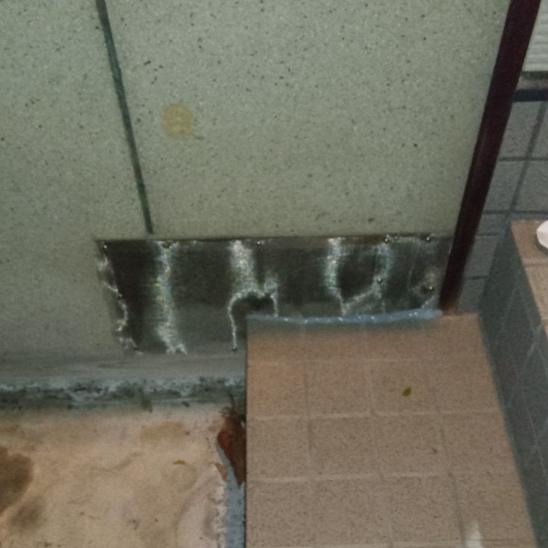 ハクビシン駆除の施工事例（愛媛県松山市北久米町）