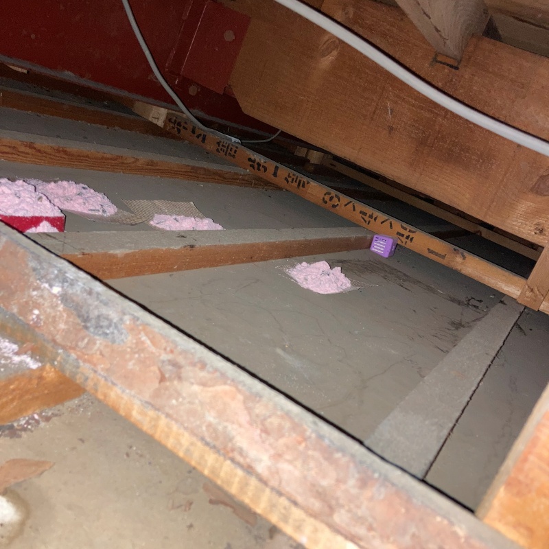 屋根裏に複数の殺鼠剤を設置