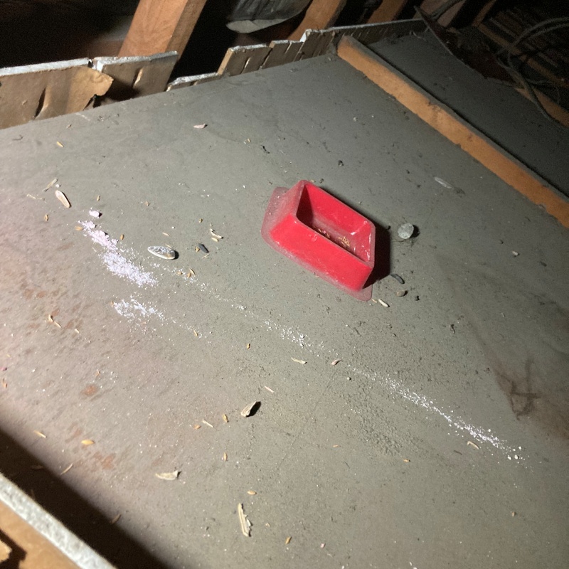 ネズミが殺鼠剤を食べたあと