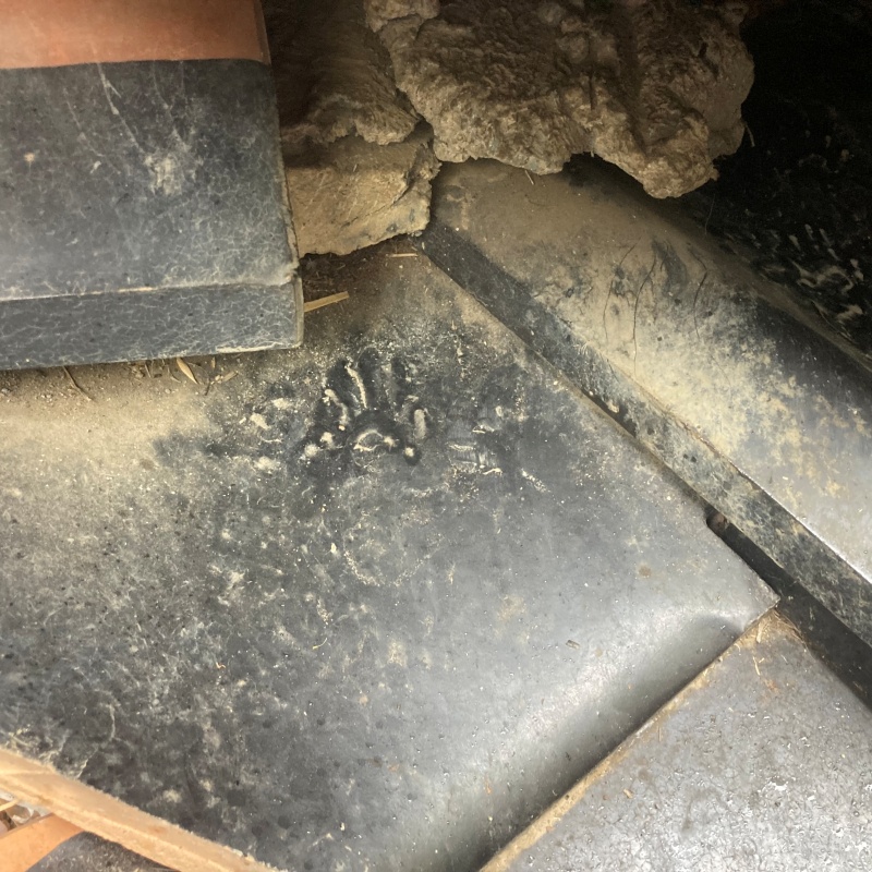 アライグマ駆除の施工事例（茨城県つくばみらい市下小目）