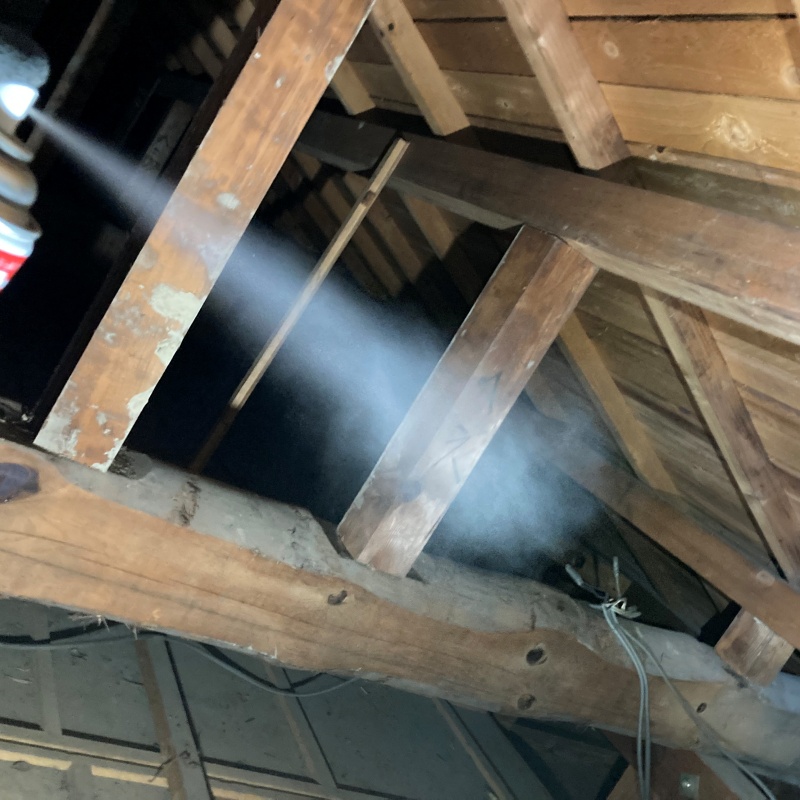 殺虫スプレーを散布している様子