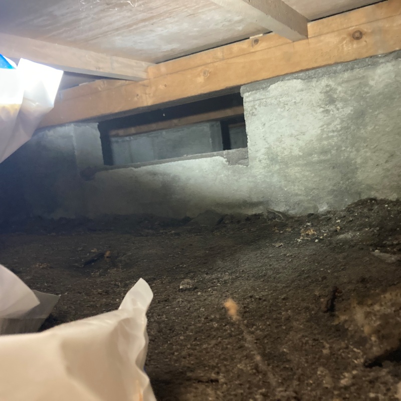 調湿剤設置前の床下