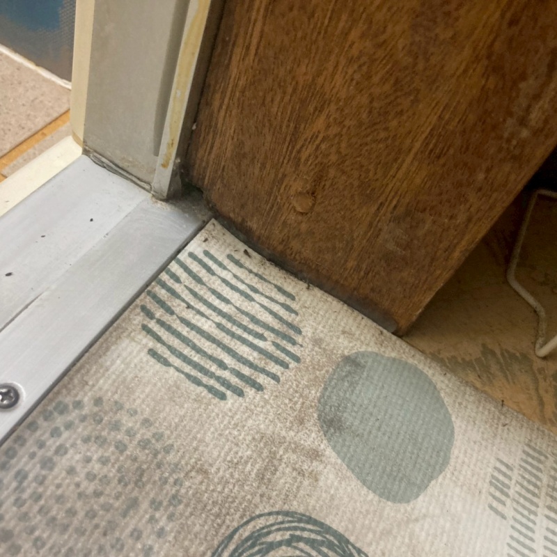 室内に落ちていたネズミのフン