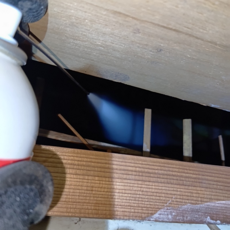 忌避スプレーを散布